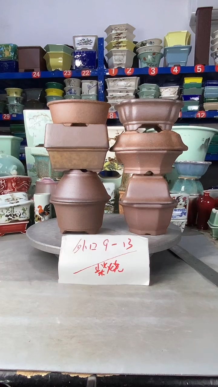 【闪购商品】紫砂302