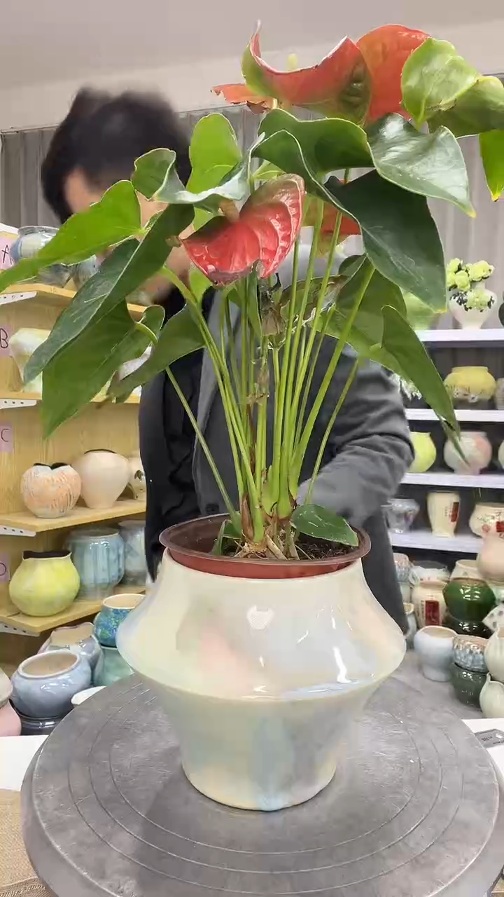 【10.21号】直播链接高：14  ；口：11