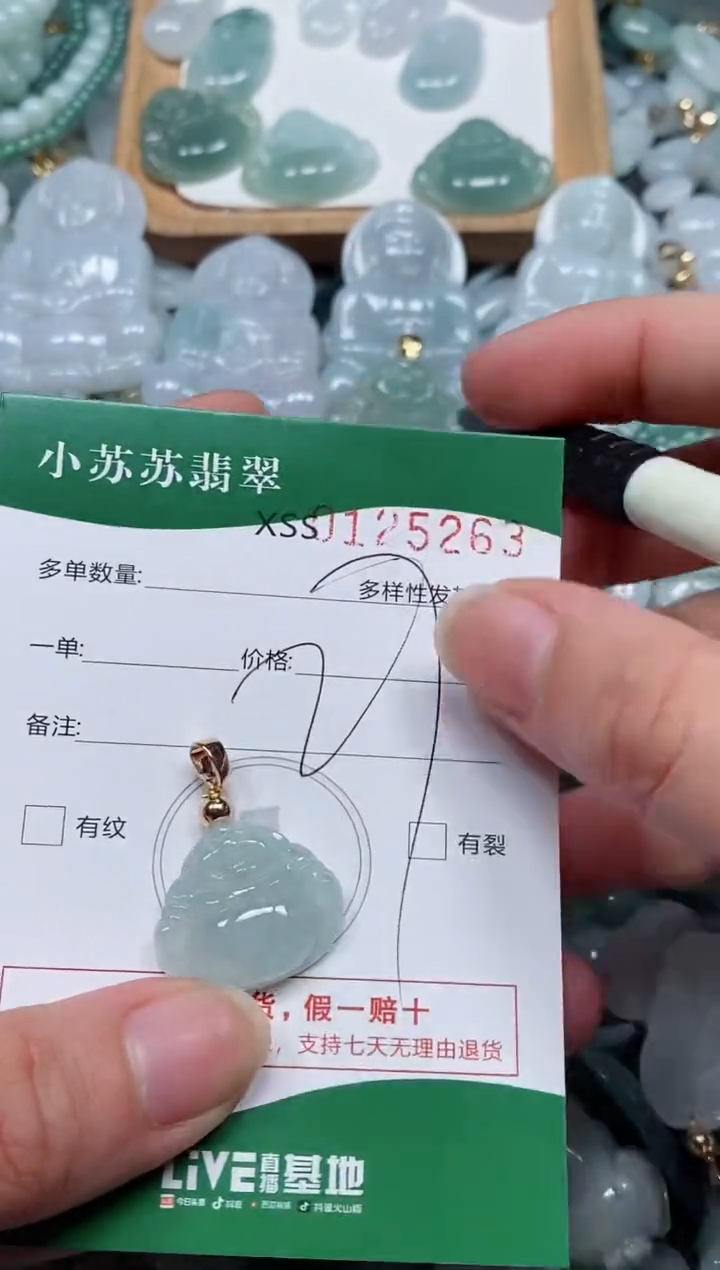 【闪购商品】翡翠颈饰未镶嵌闪购商品0125263
