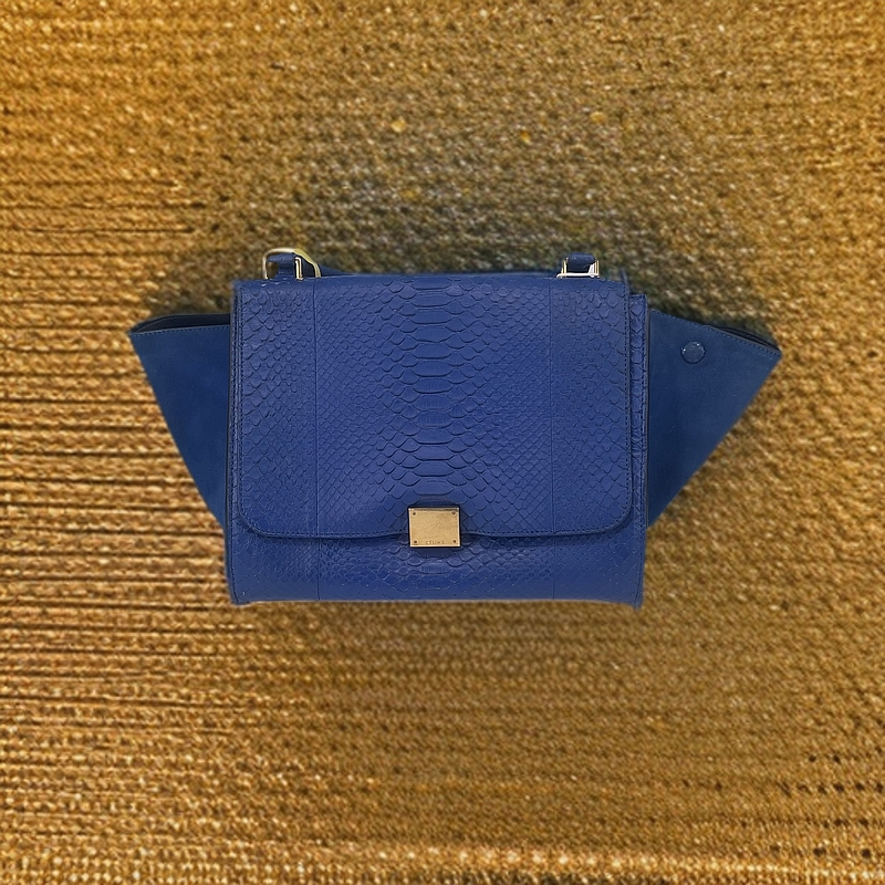95新 Celine/思琳 单肩包 24011