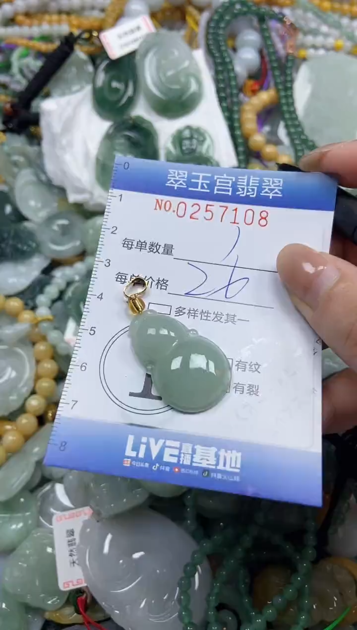 颈饰未镶嵌翡翠闪购C0257108