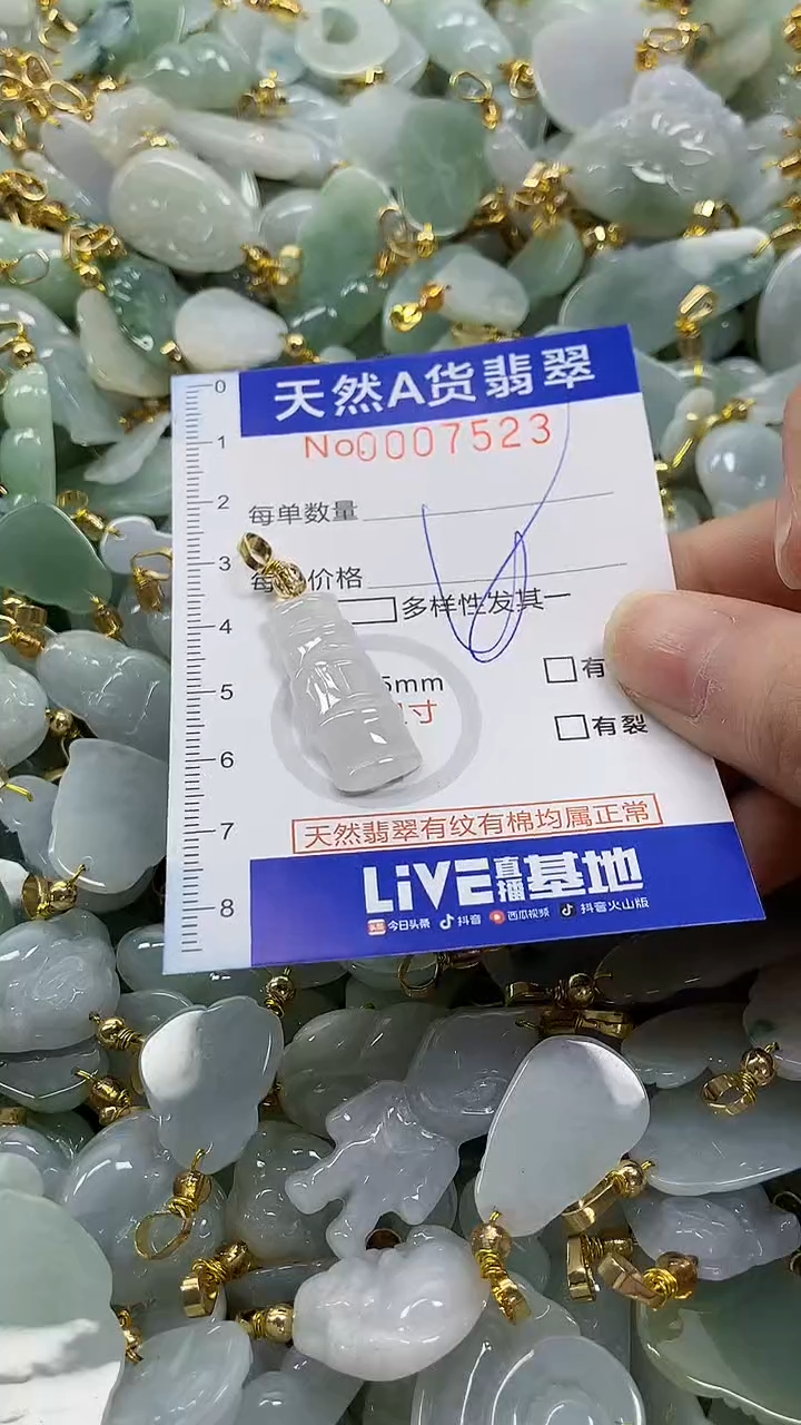 颈饰未镶嵌翡翠纯天然a货翡翠