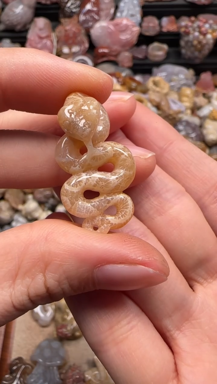 【闪购商品】硅化珊瑚（珊瑚玉）颈饰未镶嵌437