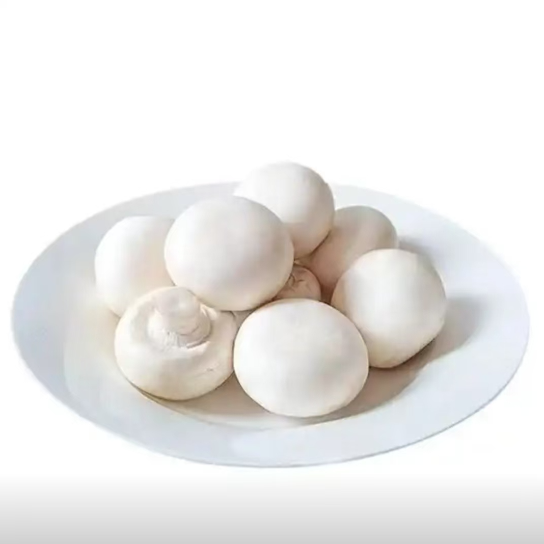 精品口蘑230g±10g/份