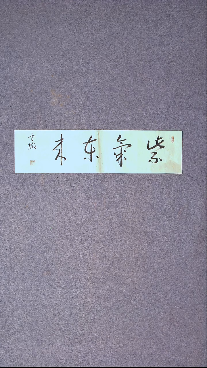 书法谭云协   宁夏 副主69*17尺寸一平尺四字