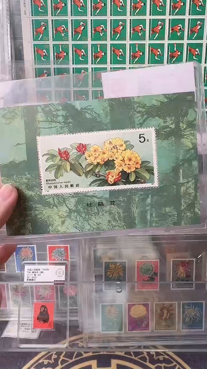 杜鹃花小型张邮票