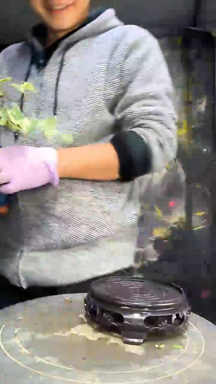 小**?中青园艺一物一拍花78