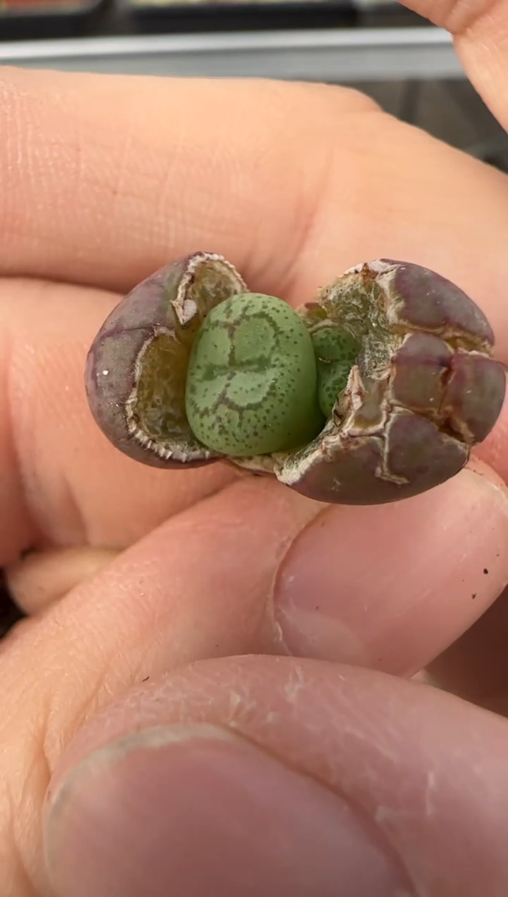 【闪购商品】13-21