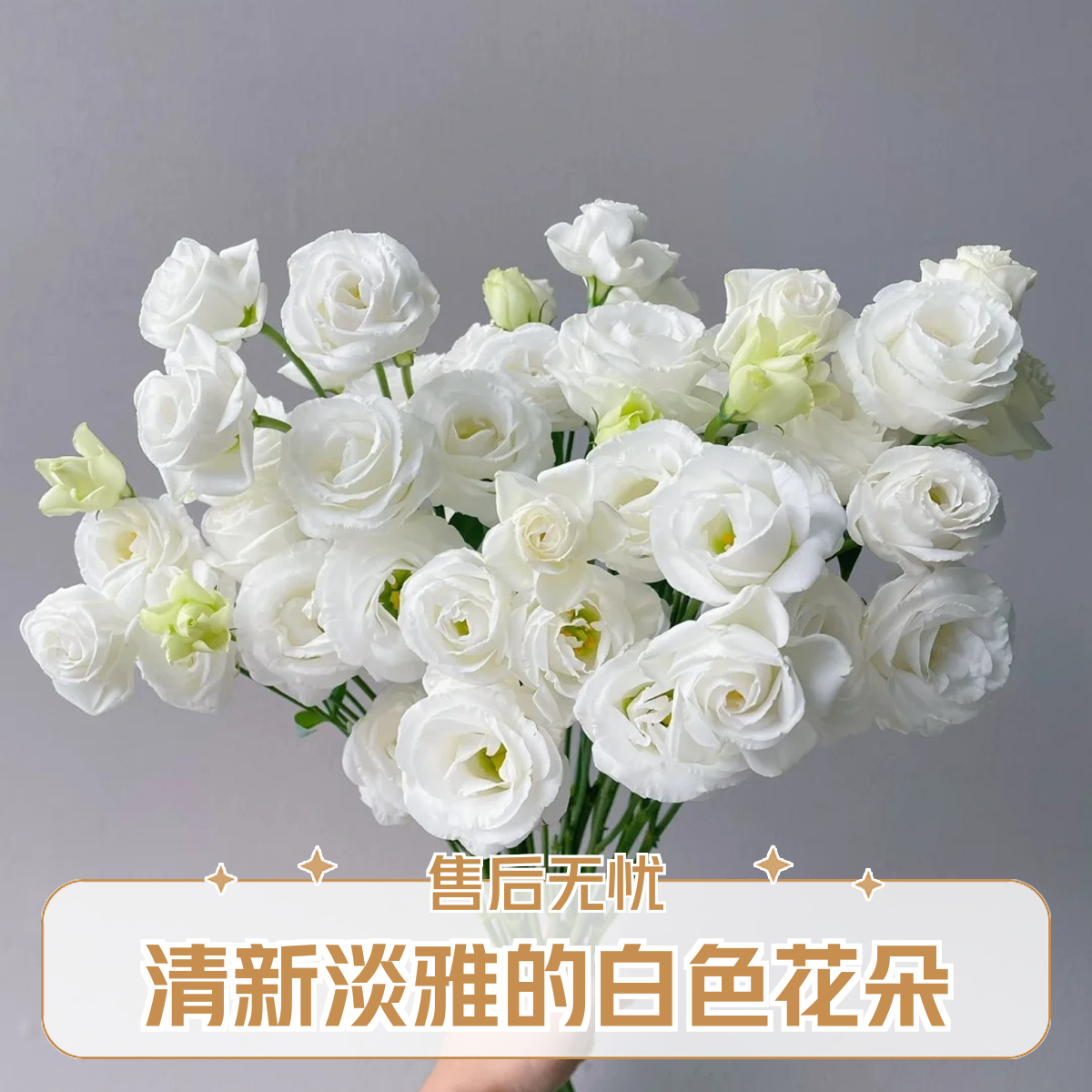 【白色洋桔梗400克】家居生活鲜花鲜花次日达昆明基地鲜花批发包邮