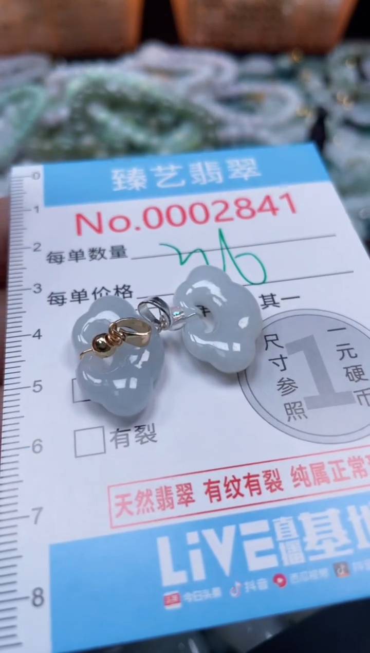 颈饰未镶嵌翡翠2841