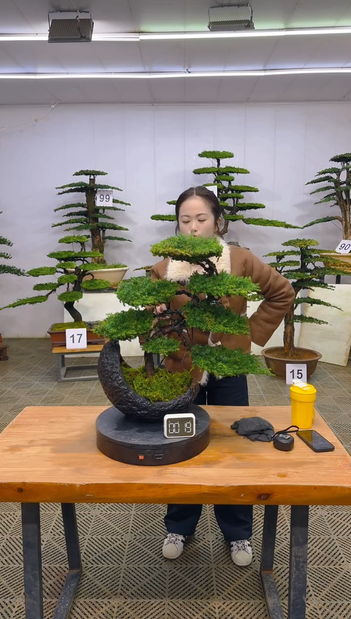 无花朵一物一拍一物一拍