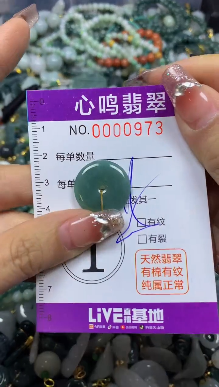 【闪购商品】翡翠颈饰未镶嵌闪购00973