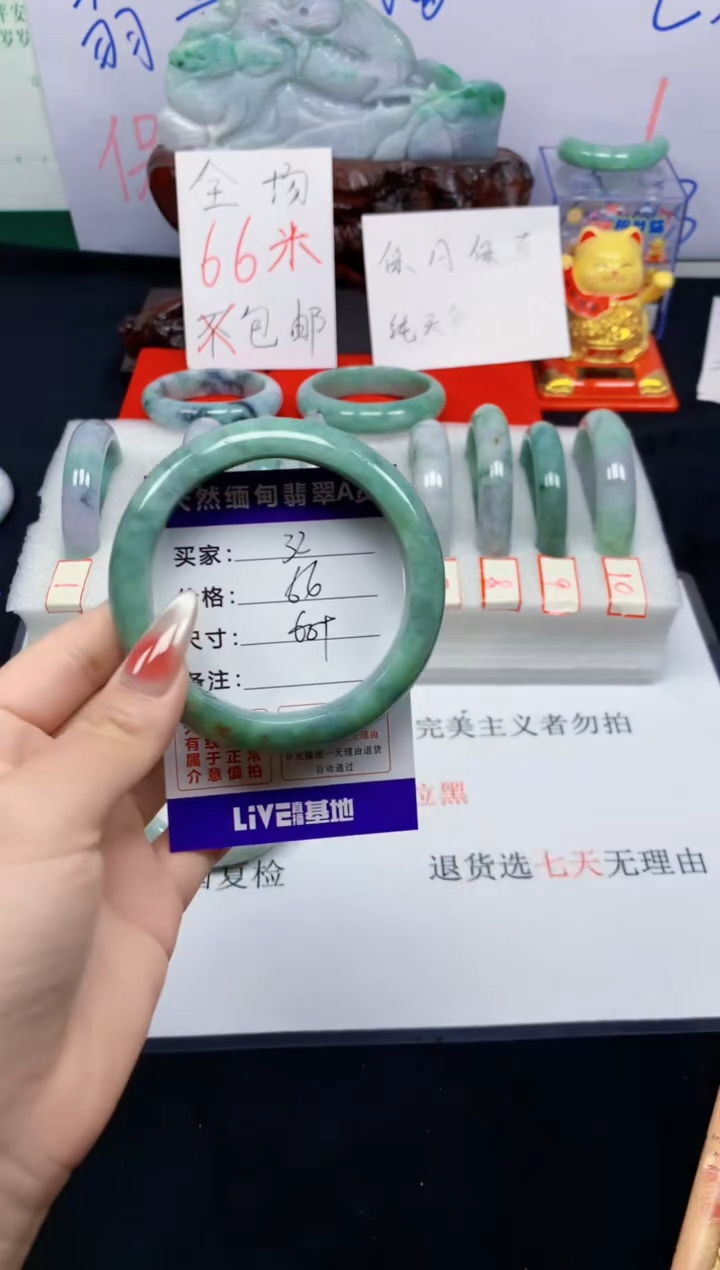 未镶嵌手镯翡翠32