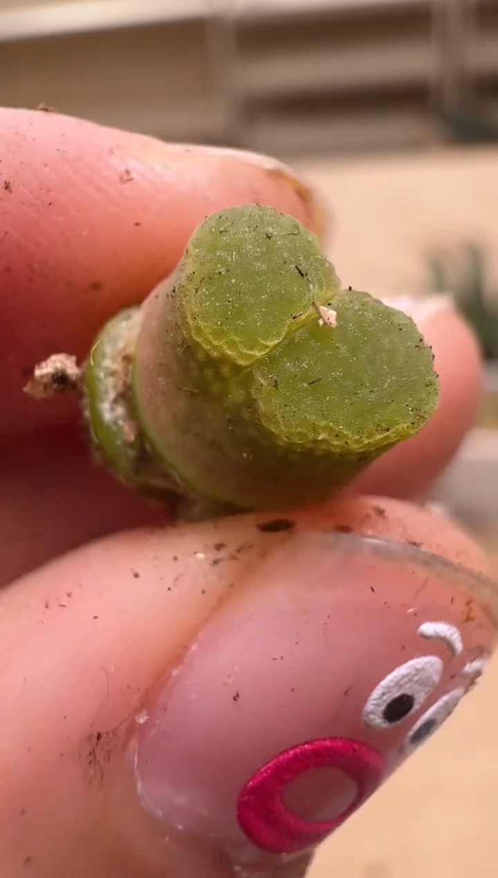 【闪购商品】16---9