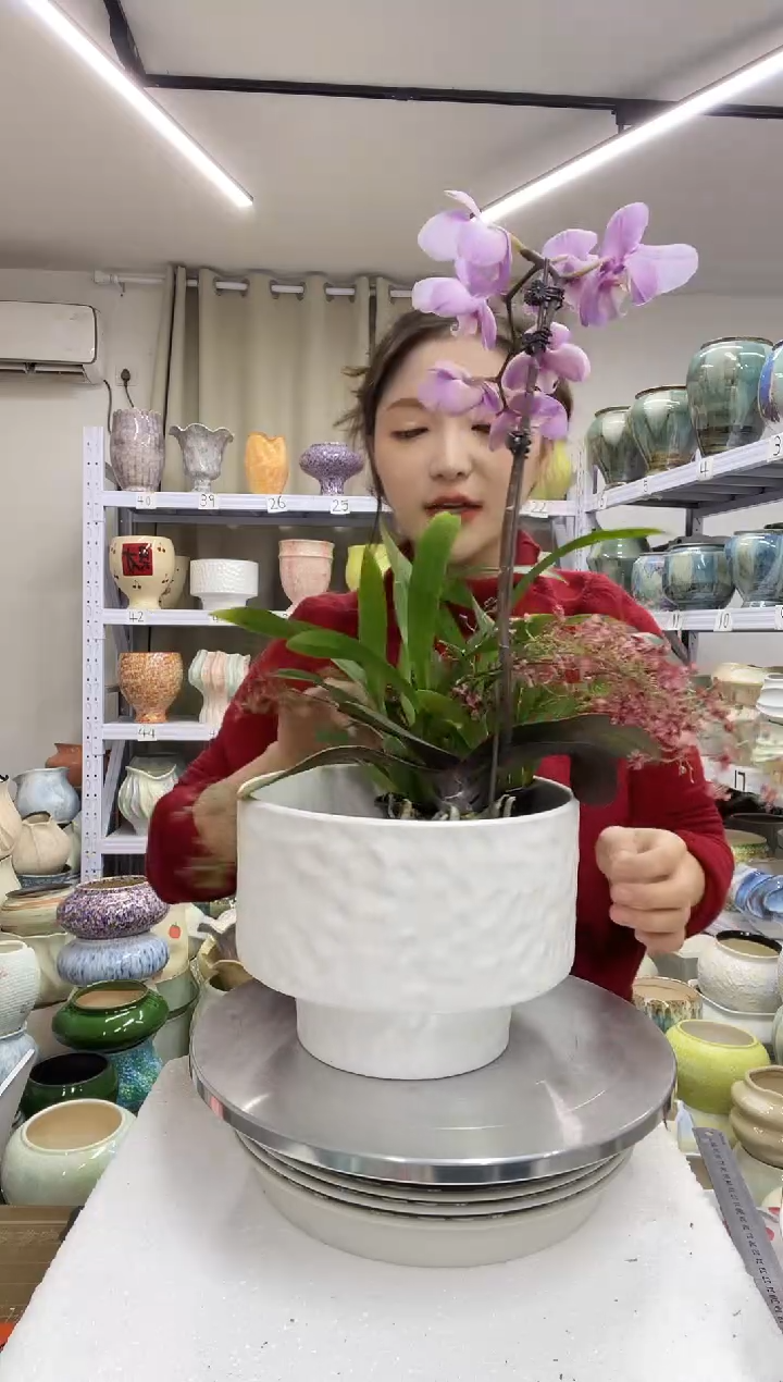 【1.3】花盆尺寸高： 15口：19