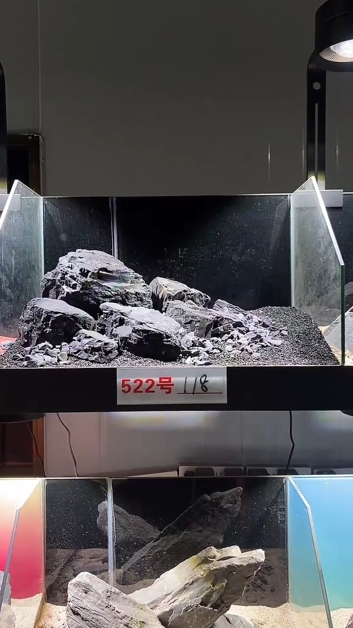 522号鱼缸造景（不含底砂）