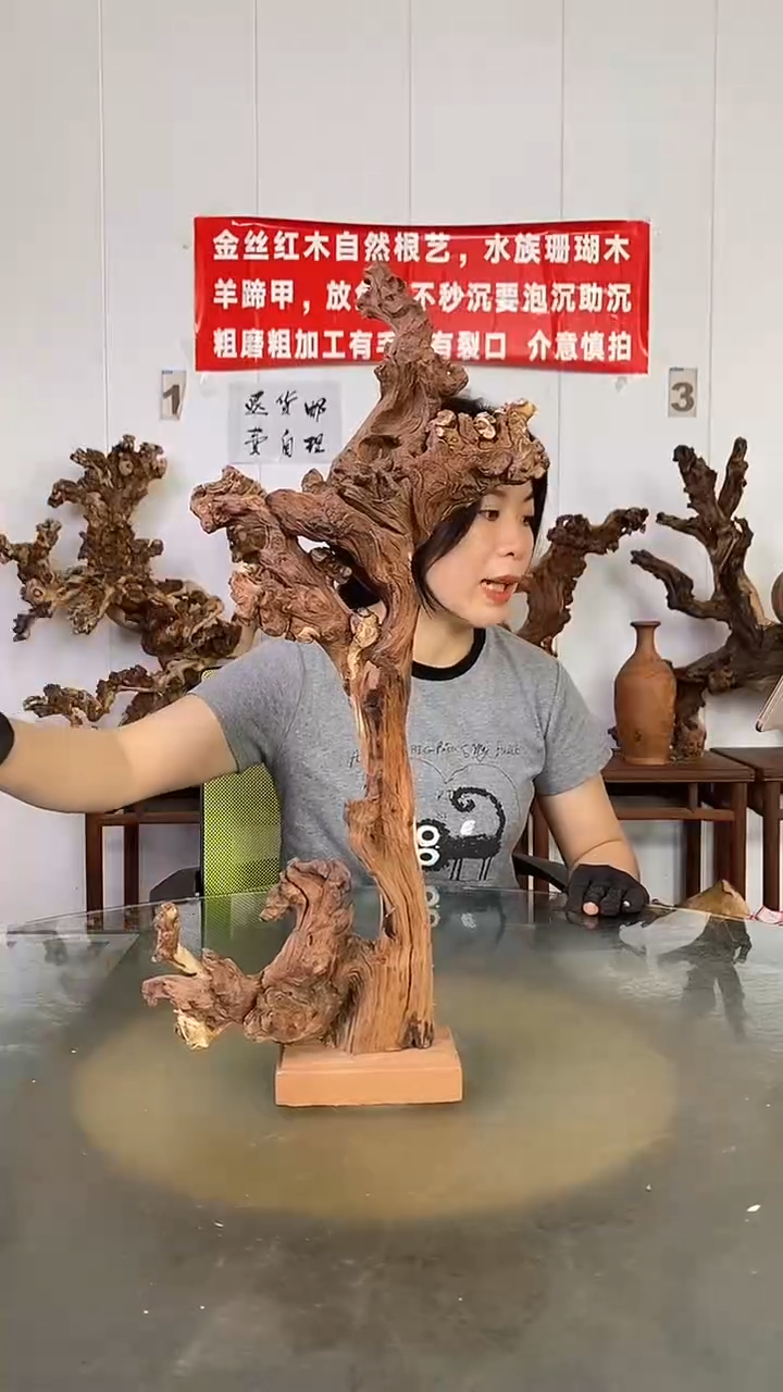 香榧木用****过金丝红木   羊蹄甲