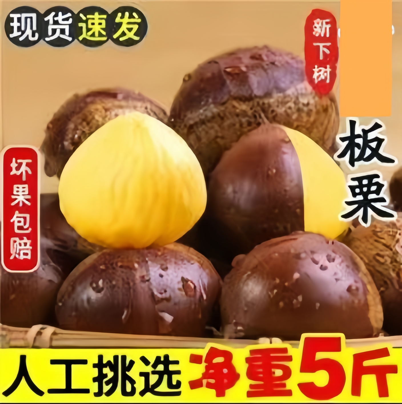 2025大别山老树板栗生新鲜栗子现摘现发红壳即食板栗1