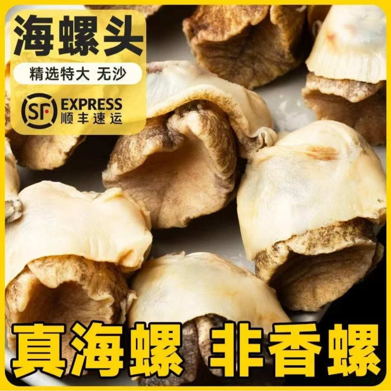 【海螺肉】速冻海螺肉 加工去内脏 现剥去壳纯肉 （20-30只/斤）