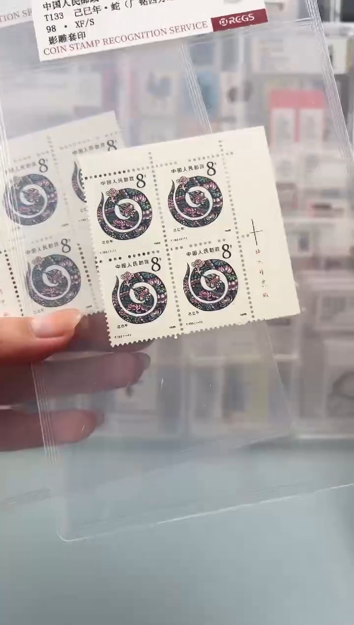 T133一轮蛇厂铭四方联