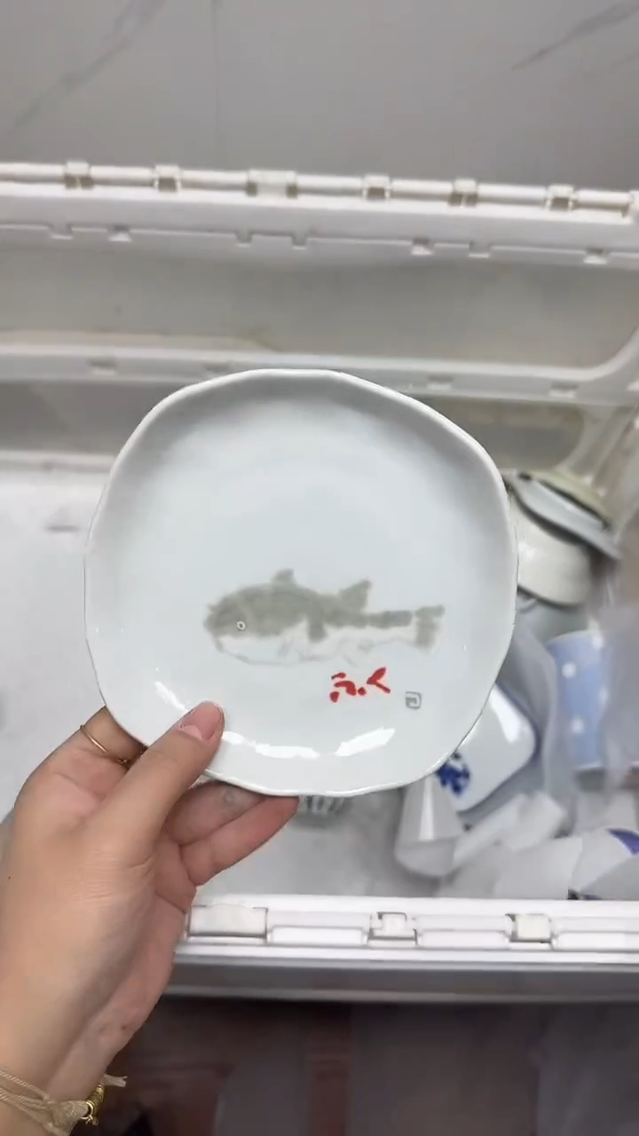 【闪购商品】971回流瓷器默认微瑕，18.8包邮