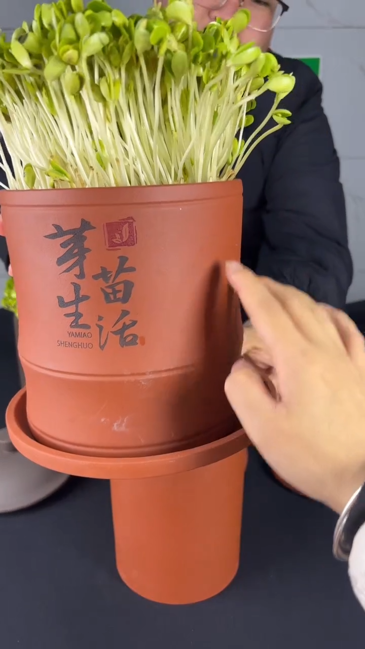 【闪购商品】紫砂中式中款竹节红泥 紫砂托