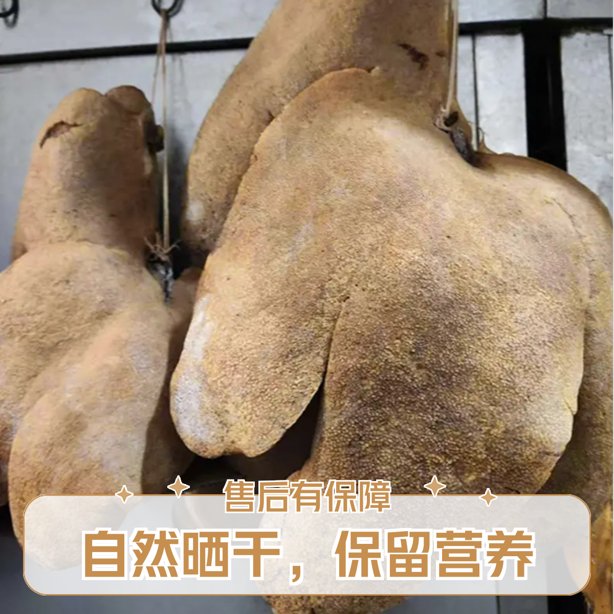 云南会泽特产吹肝土特产高原地区优质吹肝整个发货1斤以上自然风干猪肝 整副整笼