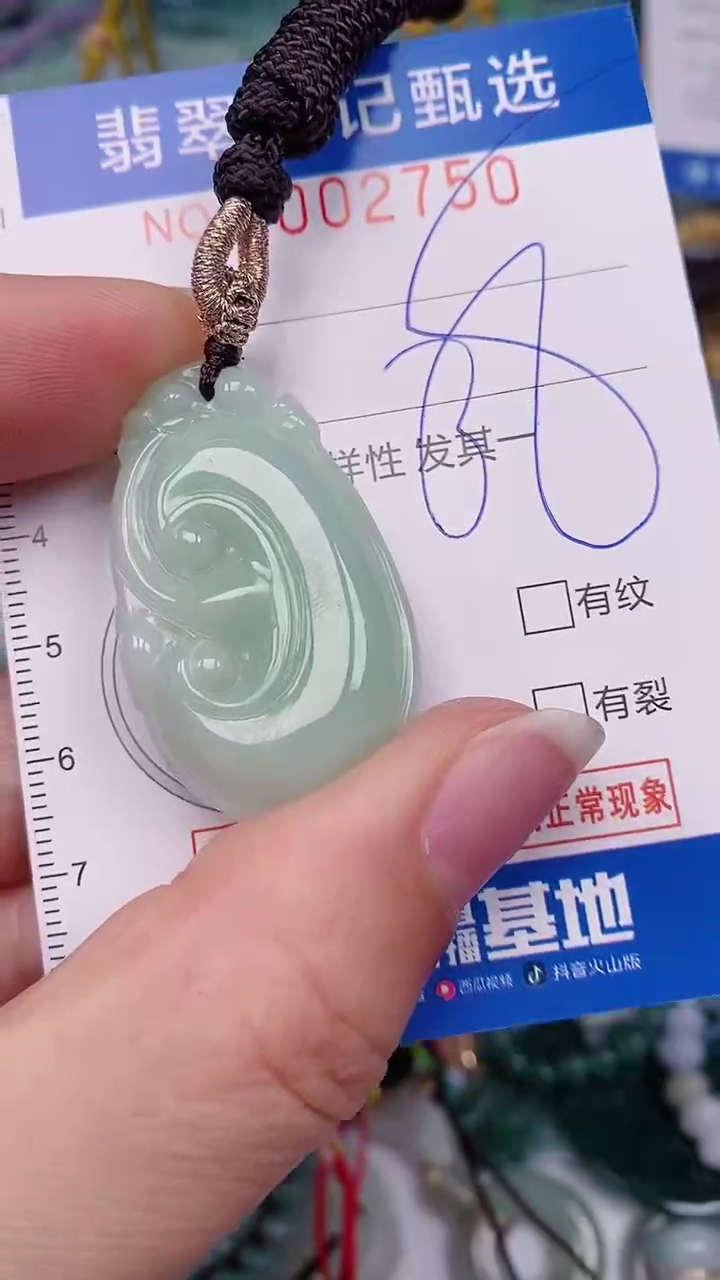 【闪购商品】翡翠颈饰未镶嵌00002750
