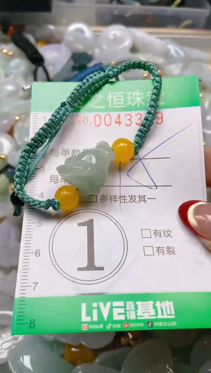 【闪购商品】翡翠颈饰未镶嵌闪购0043399