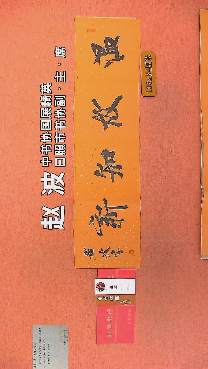 【闪购商品】书法263         赵波书法作品