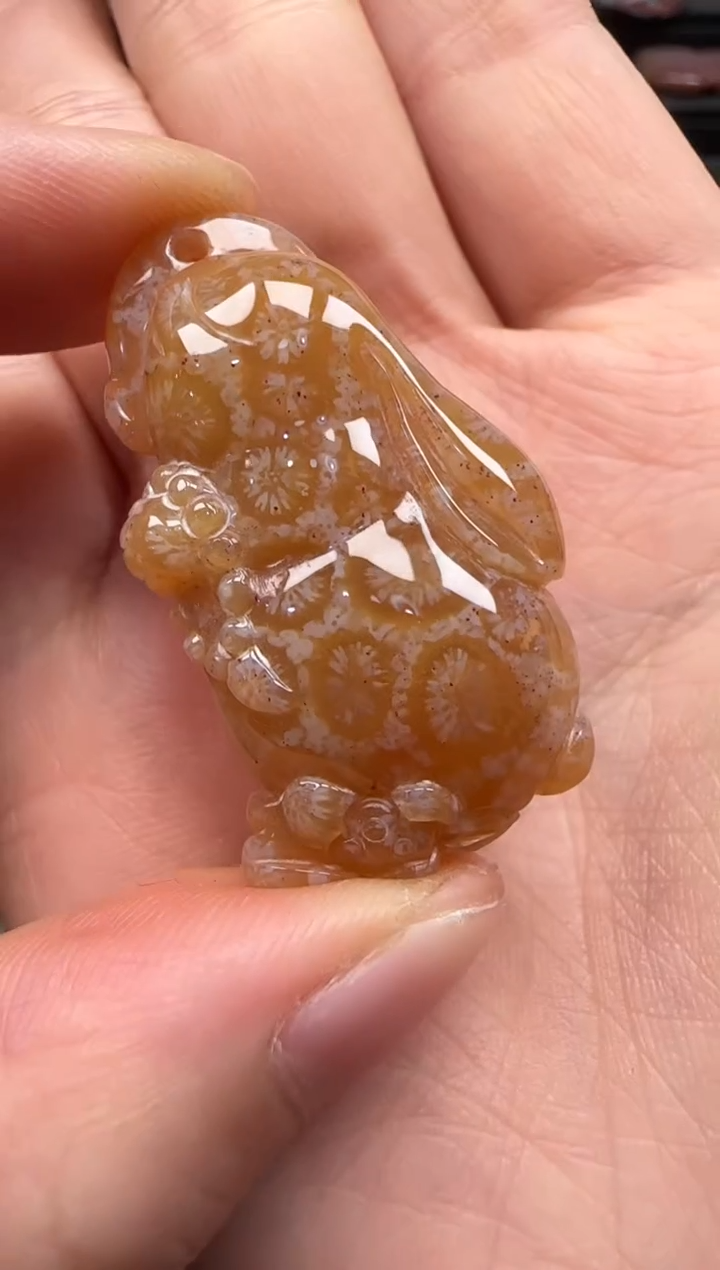 【闪购商品】硅化珊瑚（珊瑚玉）颈饰未镶嵌632