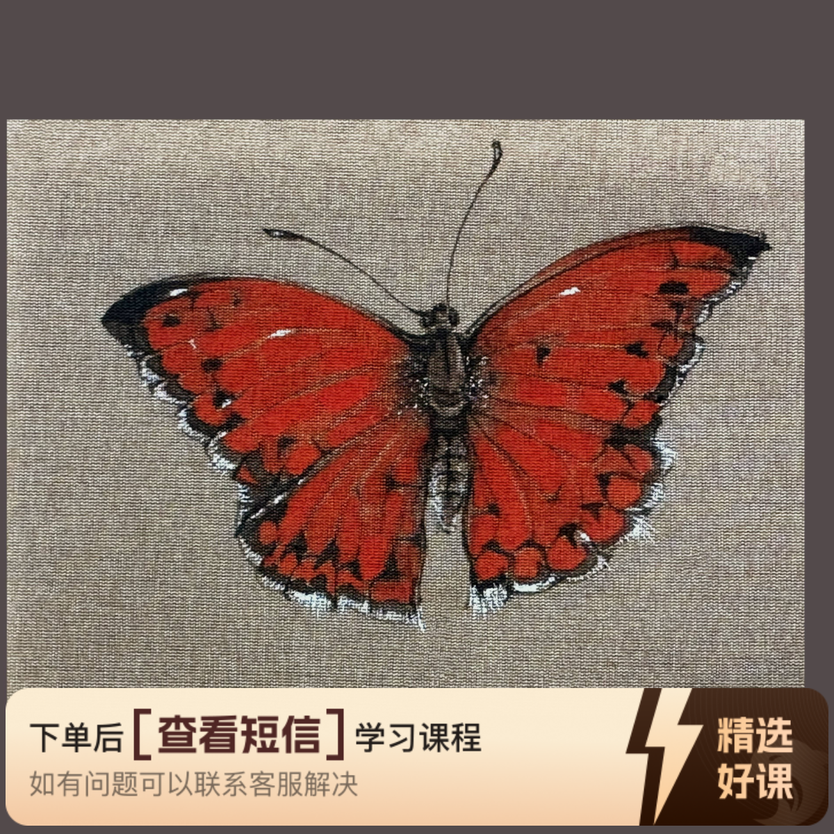 蝶恋花——刘金瑞蝴蝶写生课程