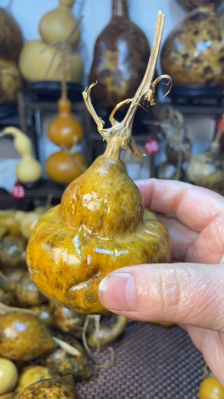 【闪购商品】好葫芦葫芦葫芦葫芦