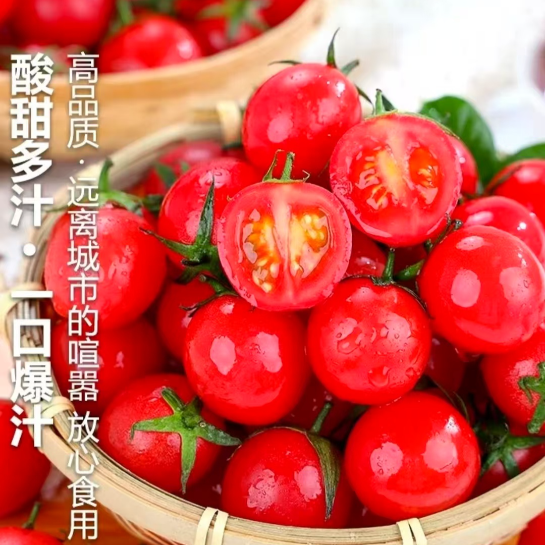 【爆汁】广西圣女果西红柿小番茄新鲜现摘水果应季自然熟酸甜