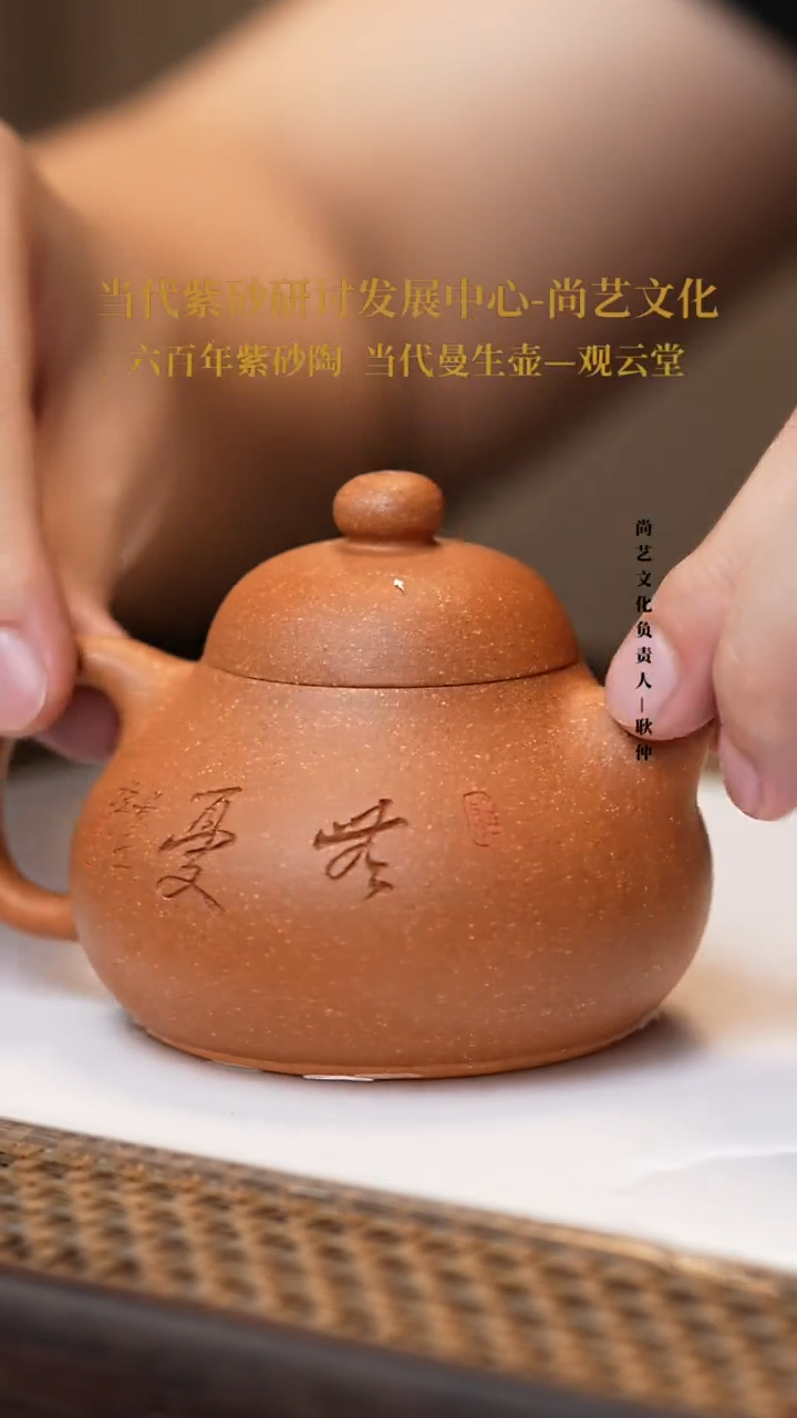 茶壶紫砂宜兴紫砂 紫砂壶 FWH