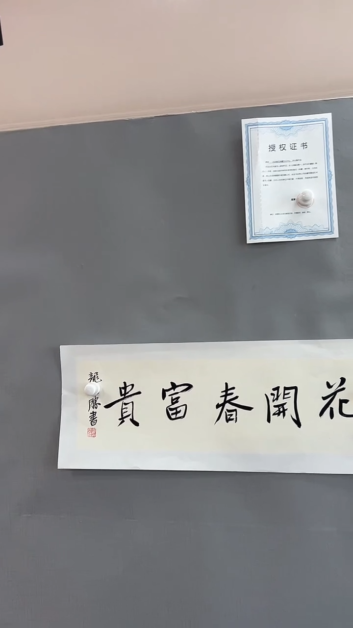 【闪购商品】书法雅艺典藏文化书法