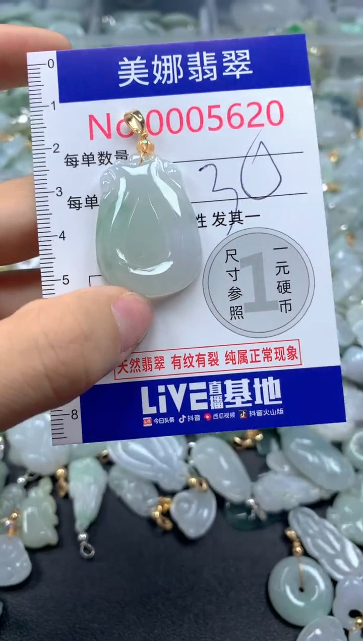 颈饰未镶嵌翡翠5620