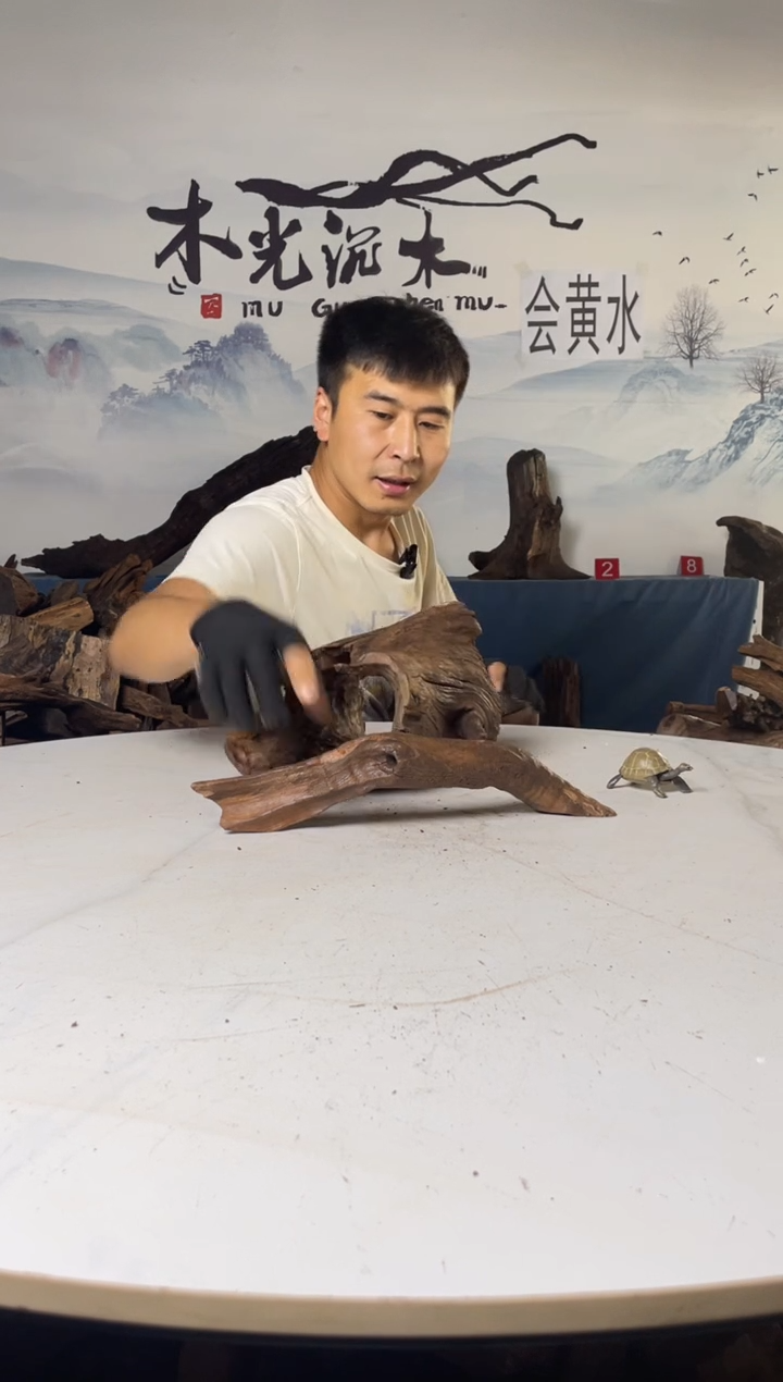 a291木光沉木木光沉木291