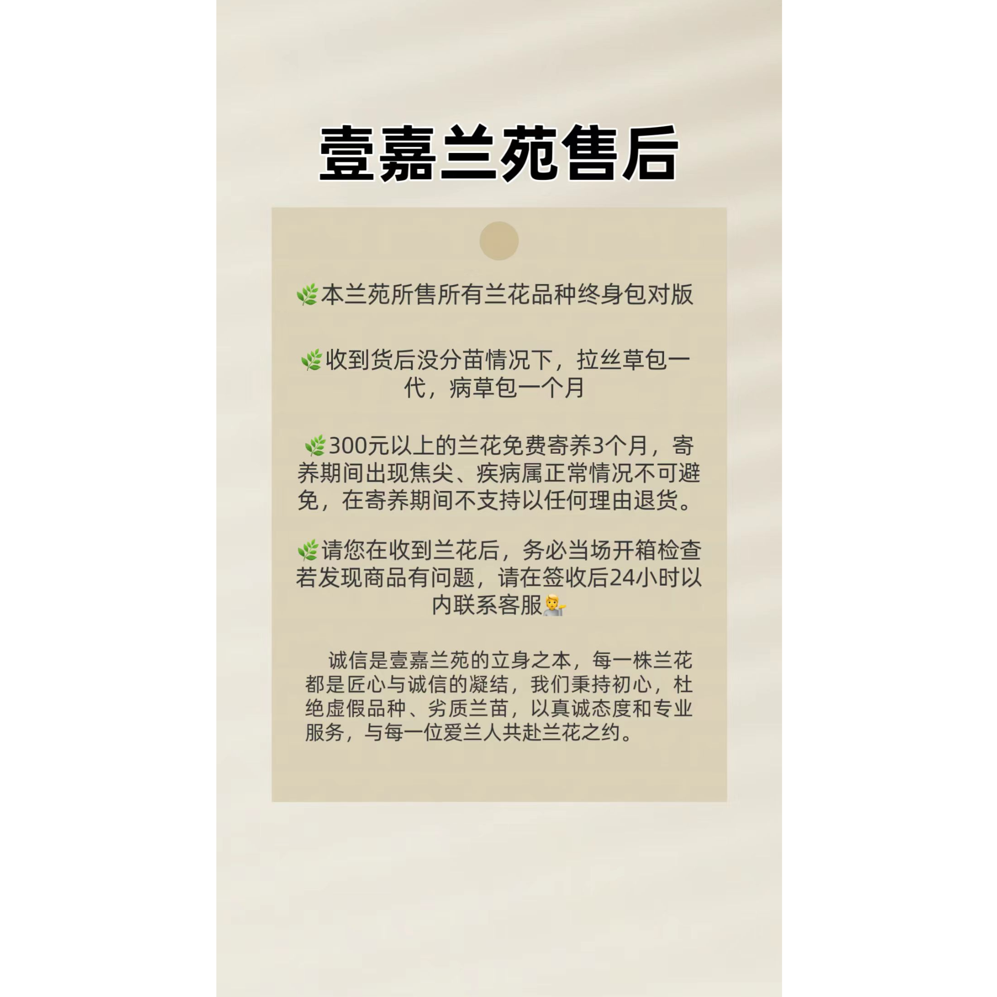 精品兰花，一物一拍，直播间