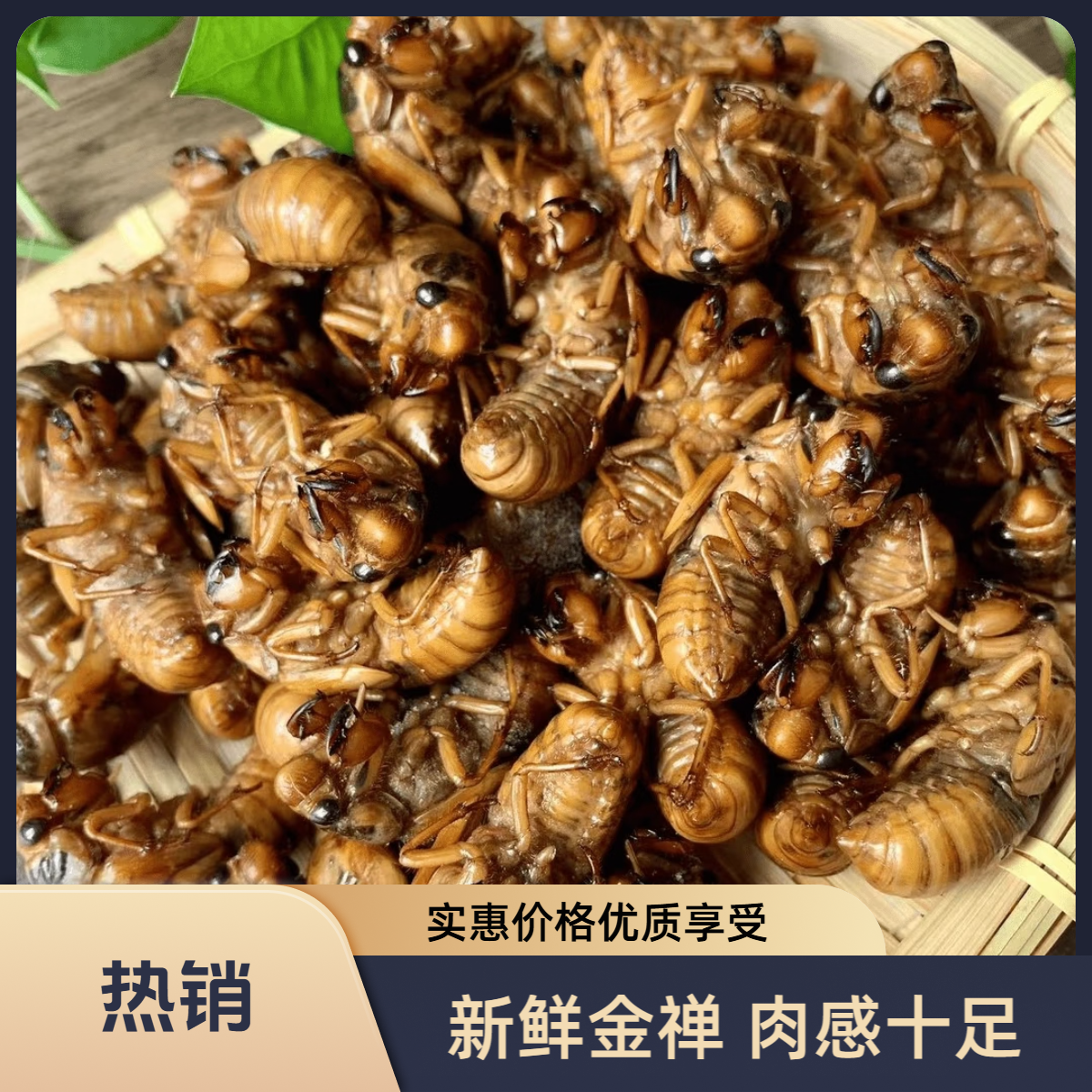 【小意好物N.3】好物金禅  知了  爬叉  唐增肉  知了1猴    顺丰次日达