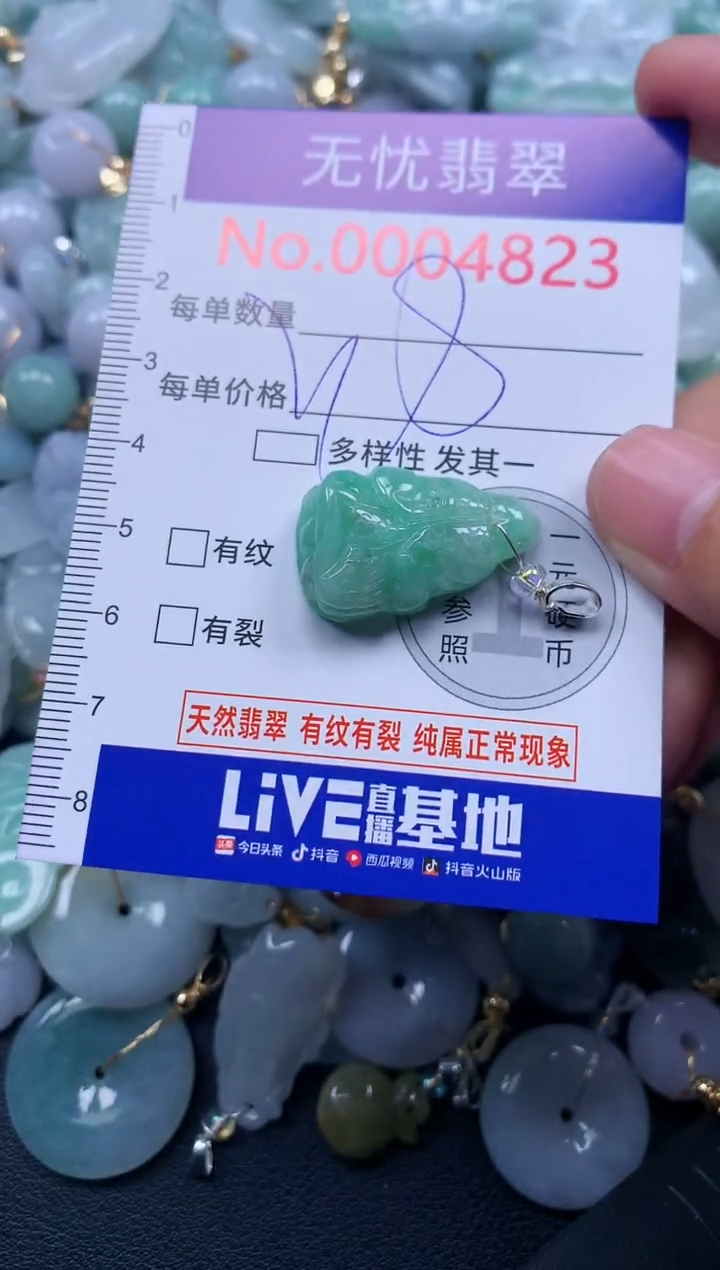 颈饰未镶嵌翡翠4823