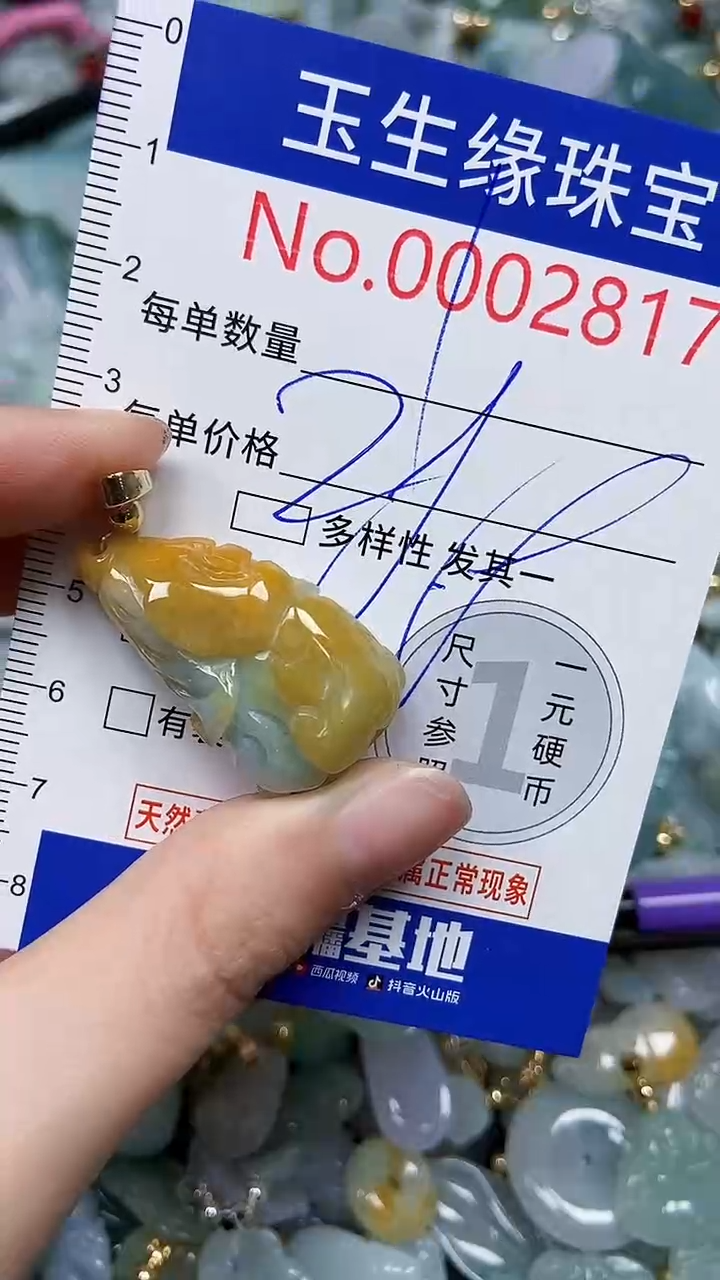 【闪购商品】翡翠颈饰未镶嵌闪购00002817