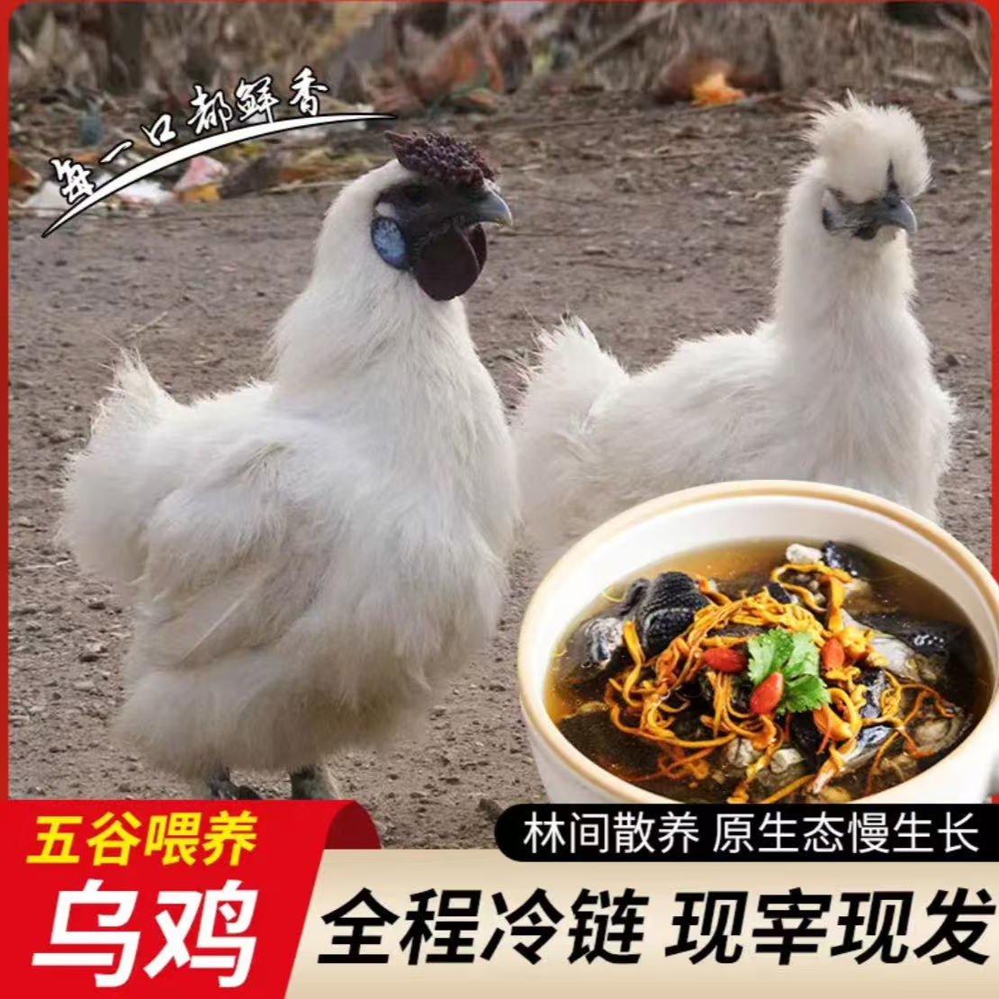 鲁西南农家养殖乌鸡乌骨鸡净膛新鲜冷冻发货