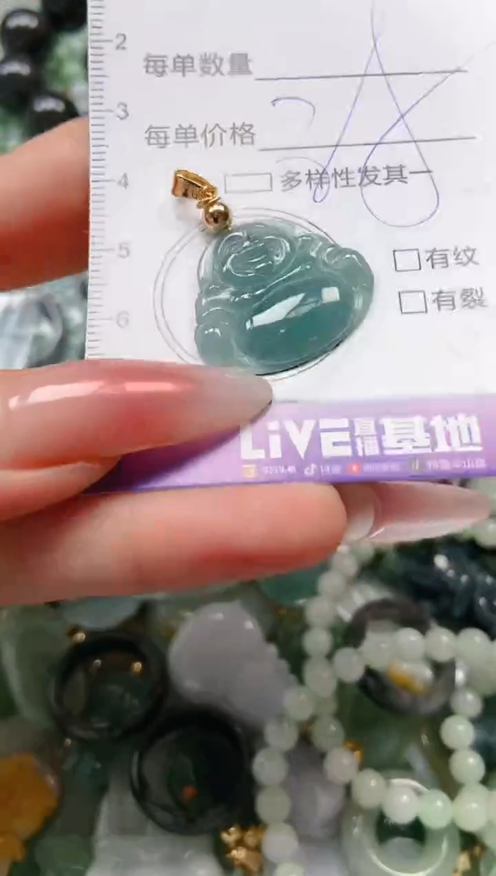 【闪购商品】翡翠颈饰未镶嵌闪购0100201