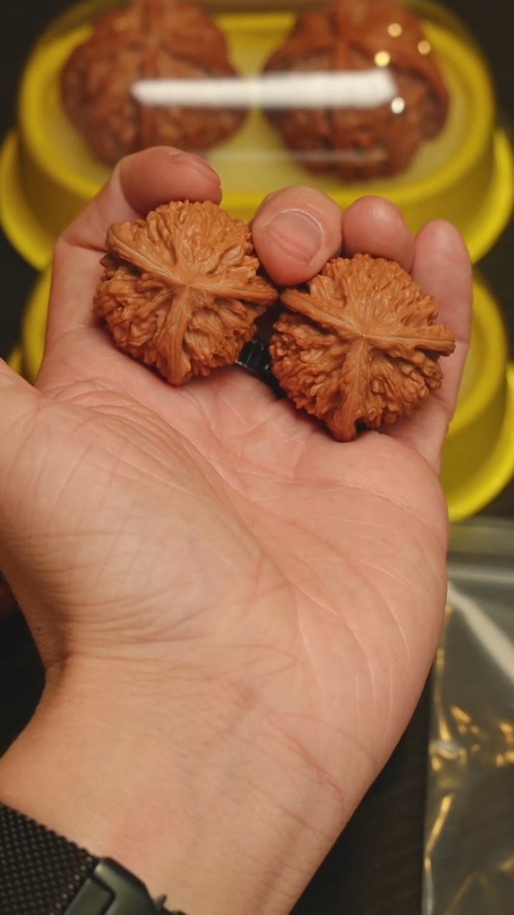 吊坠文玩核桃新号限定 37御龙粗筋 2