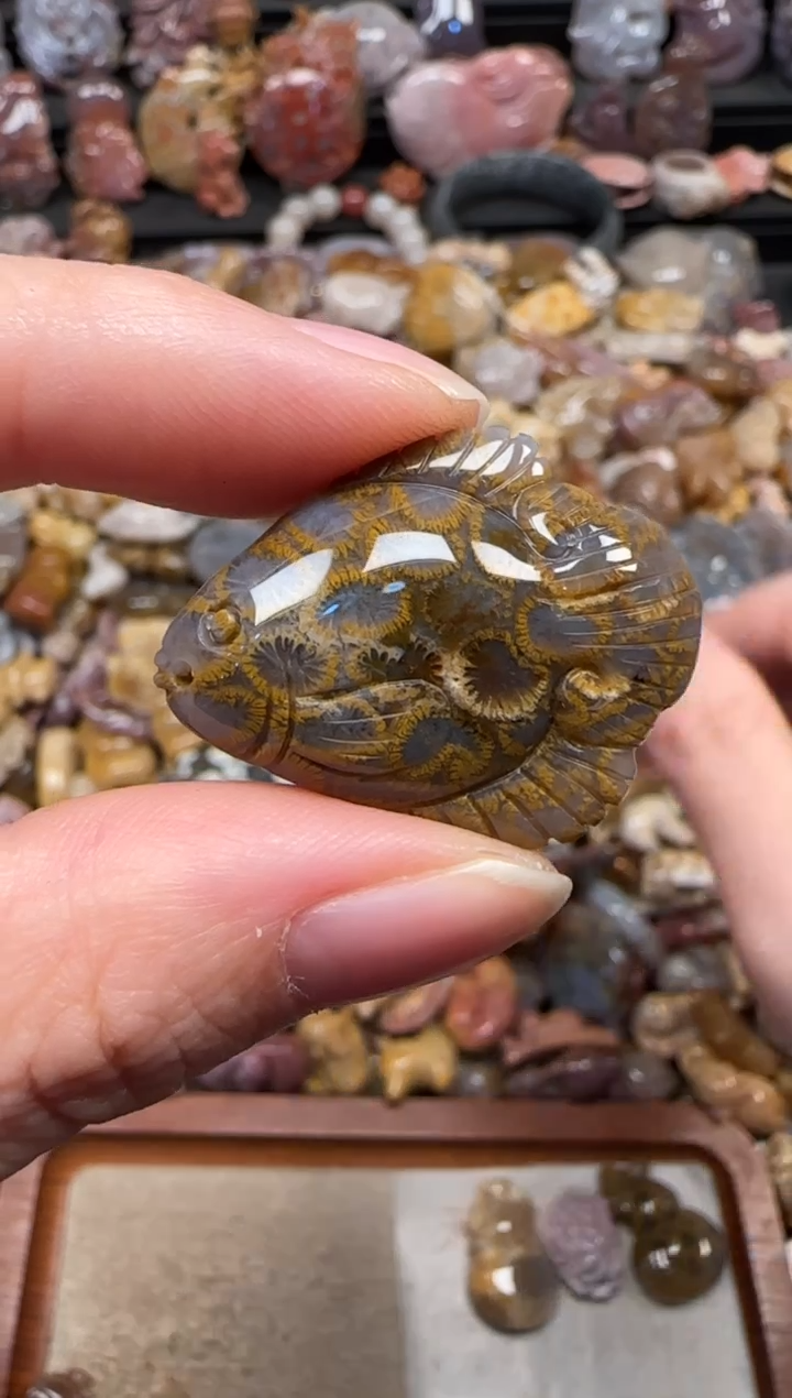 颈饰未镶嵌硅化珊瑚（珊瑚玉）419