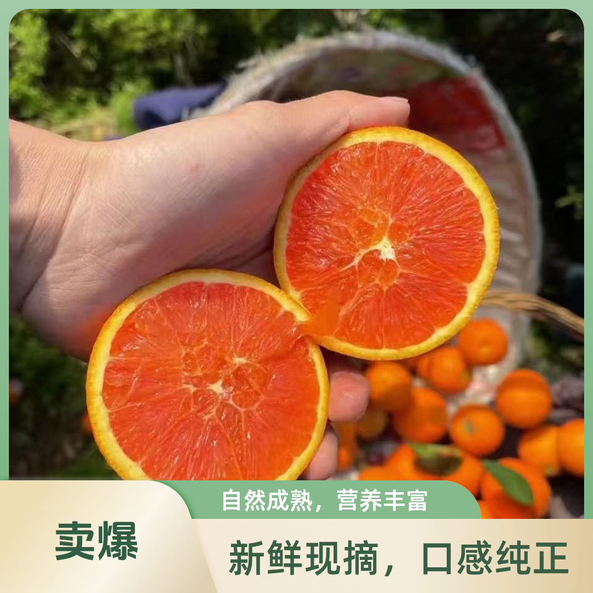 四川血橙头茬大果精选果每份约重3斤