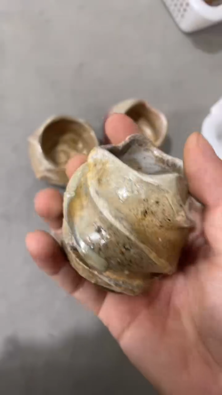 瓷片T428陶瓷茶具茶器