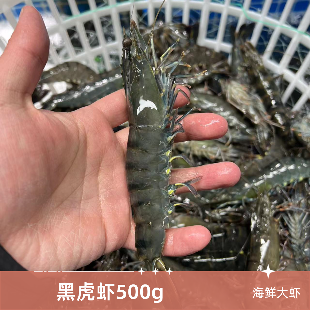 黑虎虾 500g 海鲜大虾(到家保鲜不保活）