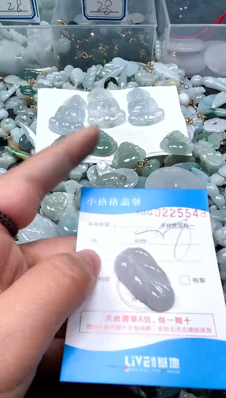 【闪购商品】翡翠颈饰未镶嵌闪购商品0225548